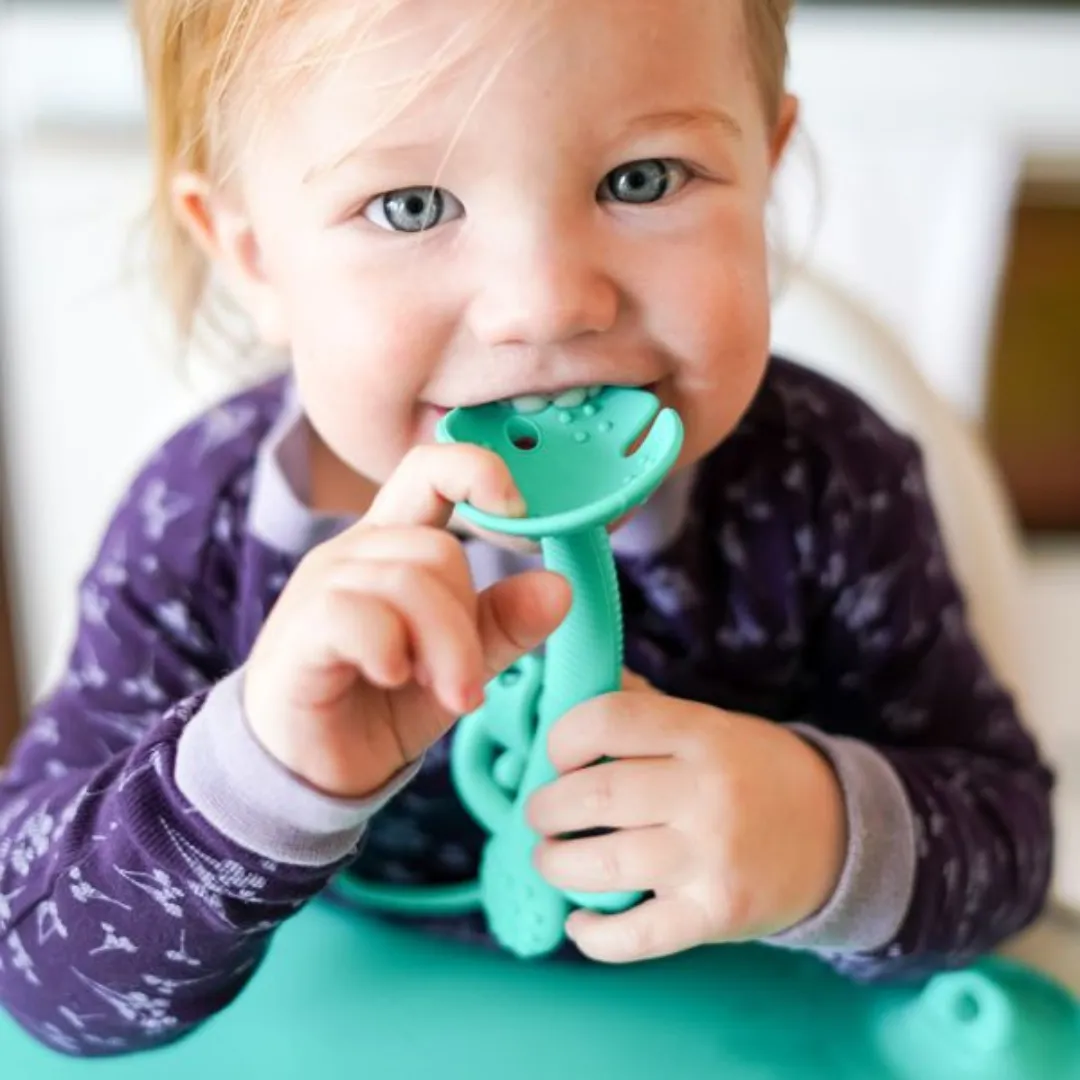 2-in-1 Teether & Training Spoon