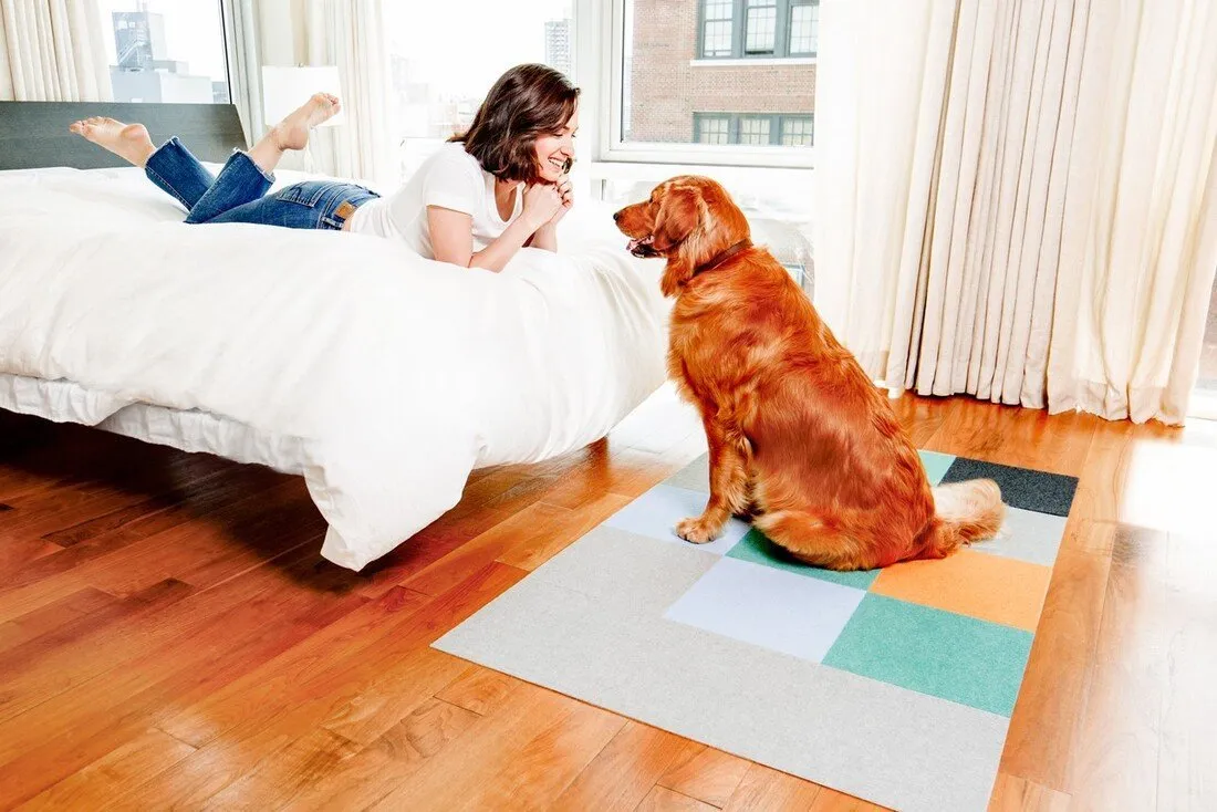 25% OFF: Triluc Non-Slip Washable & Water-Repellent Pet Mat (Cream 4-Piece)