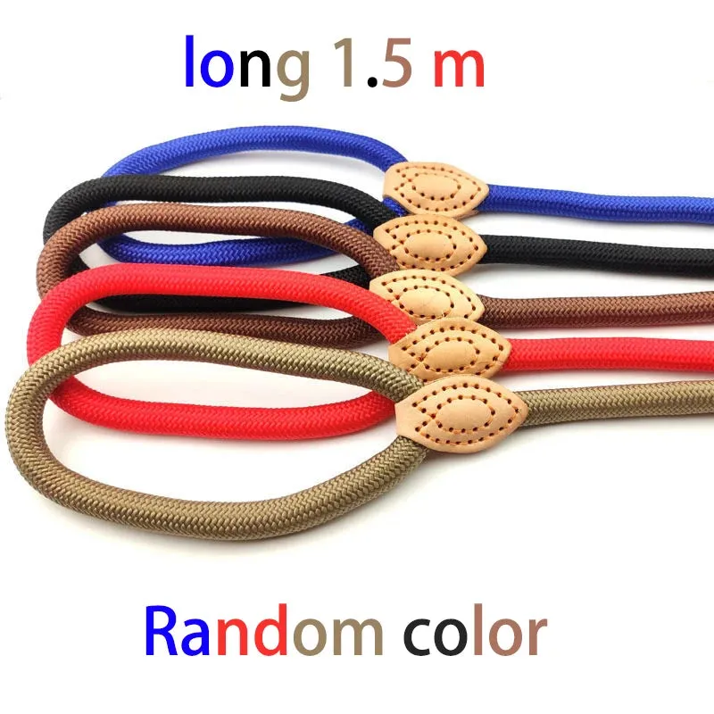 Adjustable Collar Harness Dog Leash Nylon Pet Lead Leash Dog Harness Durable Rope Belt Lightweight Dog Accessories Cat Collar