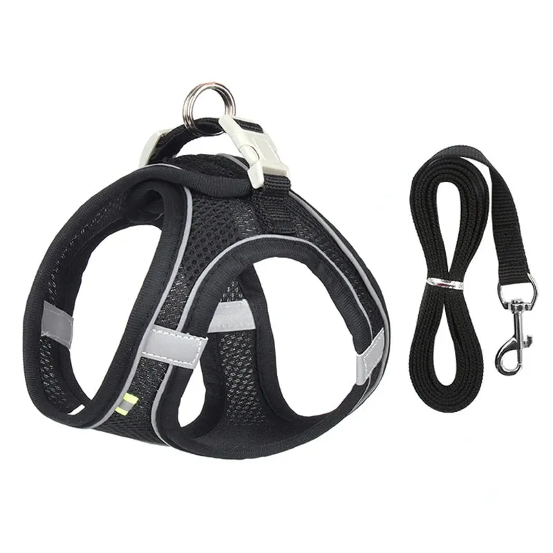 Adjustable Dog Harness and Leash Set for Small Dogs – Comfortable Walking Vest for Puppies and Cats