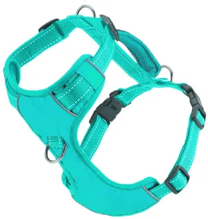 Chesapeake Bay Dog Harness Sea Foam Extra Large