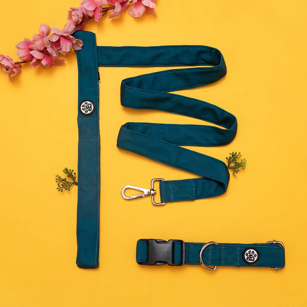 Dear Pet Classic Teal Blue Dog Collar & Leash Set