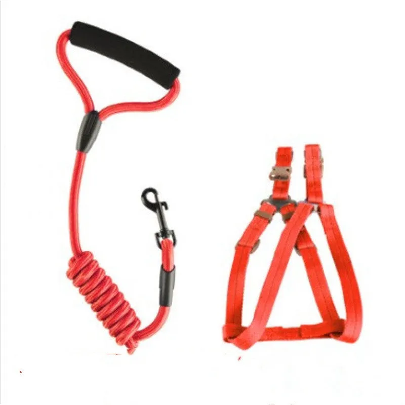 Dog Chain Leash with Chest Strap