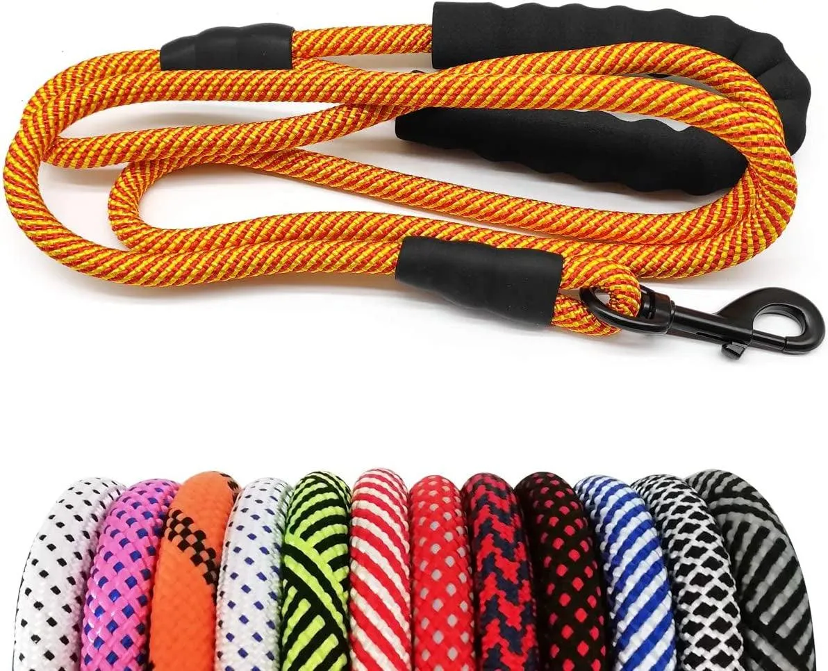 Durable Nylon Dog Leash with Soft Padded Handle - Multiple Lengths for All Dog Sizes