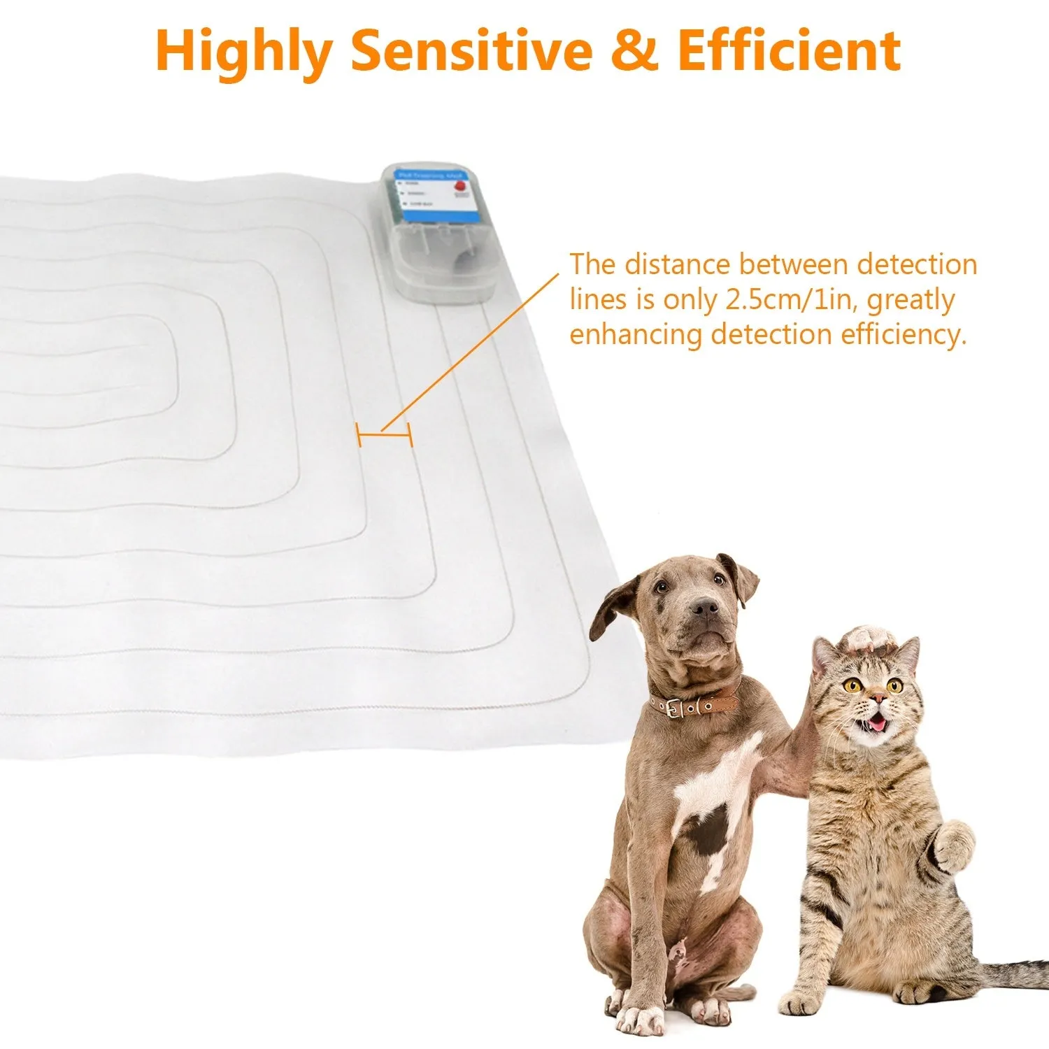 Electronic Pet Training Mat Indoor Safe Shock Training Pad