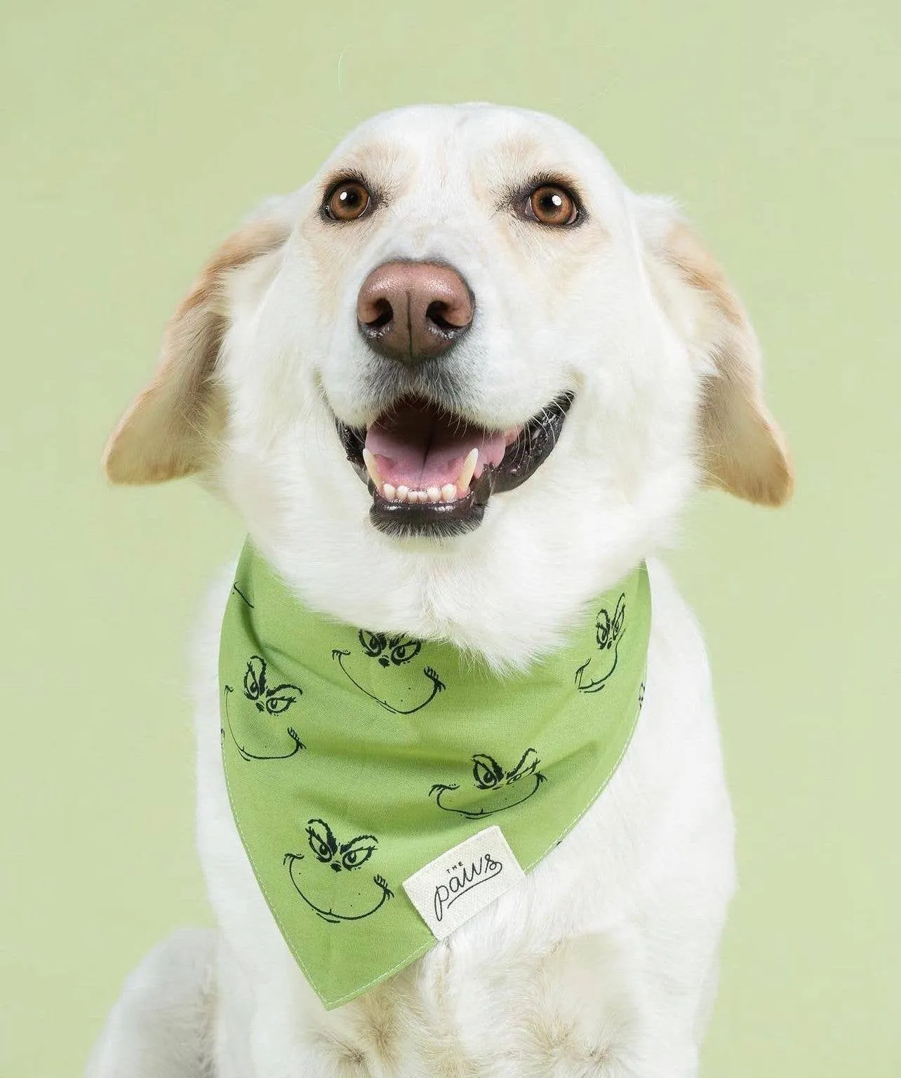 Grinch Dog Bandana