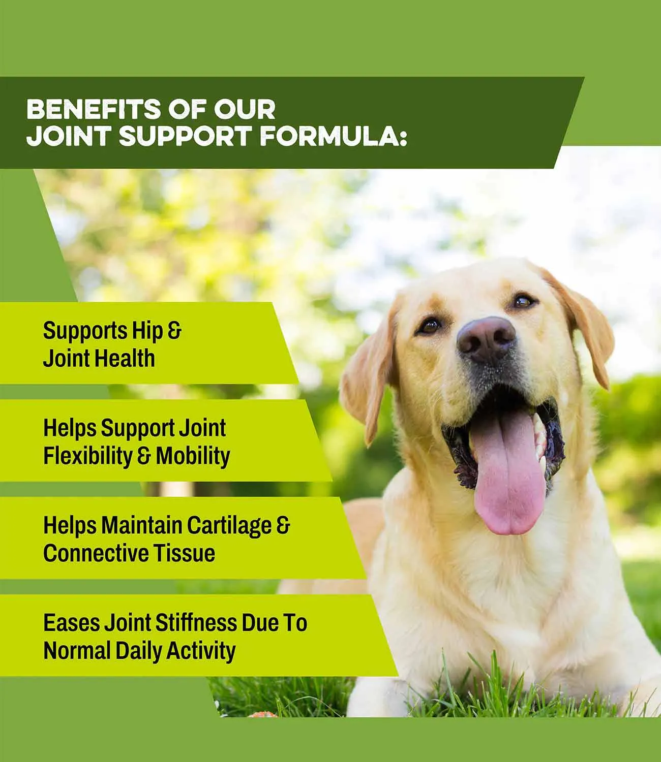 K9 Power Joint Strong Joint Support Formula for Dogs