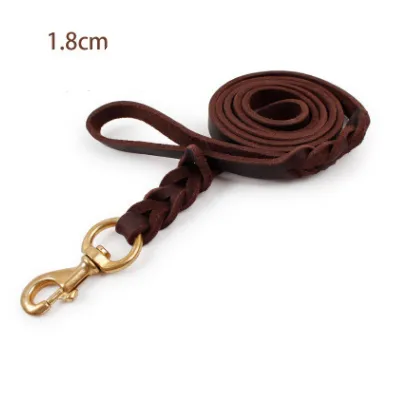 Leather Dog Leashes | Handcrafted Quality