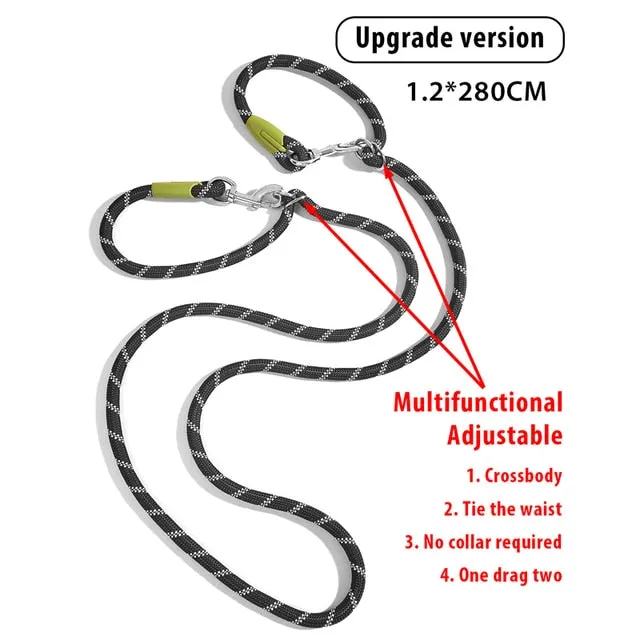 Reflective Nylon Dog Leashes