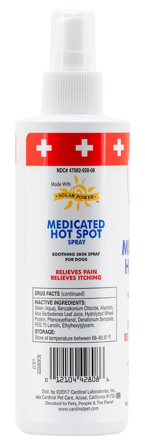 Remedy Recovery Hot Spot Spray, 8 oz