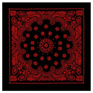 Rothco Trainmen Paisley Bandana - 22" X 22"