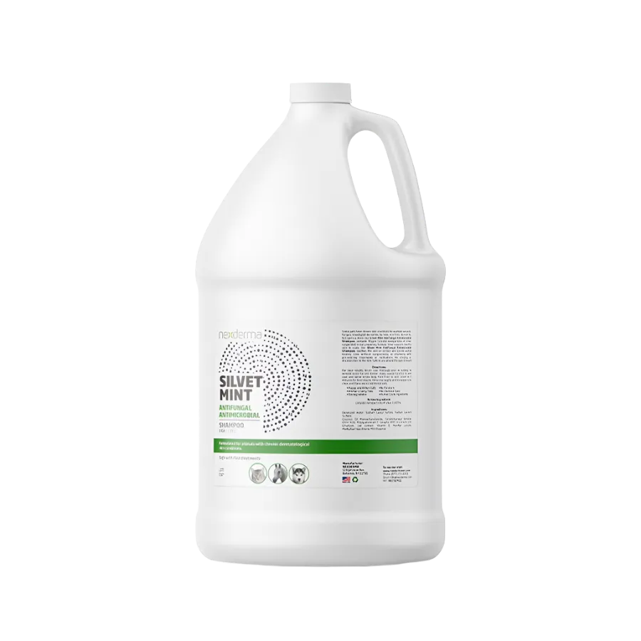 Silvet Mint Antifungal Antimicrobial Shampoo Gallon by Nexderma