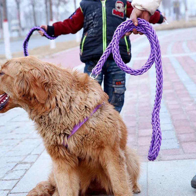 Strong Quality Dog Leashes with P-Chain