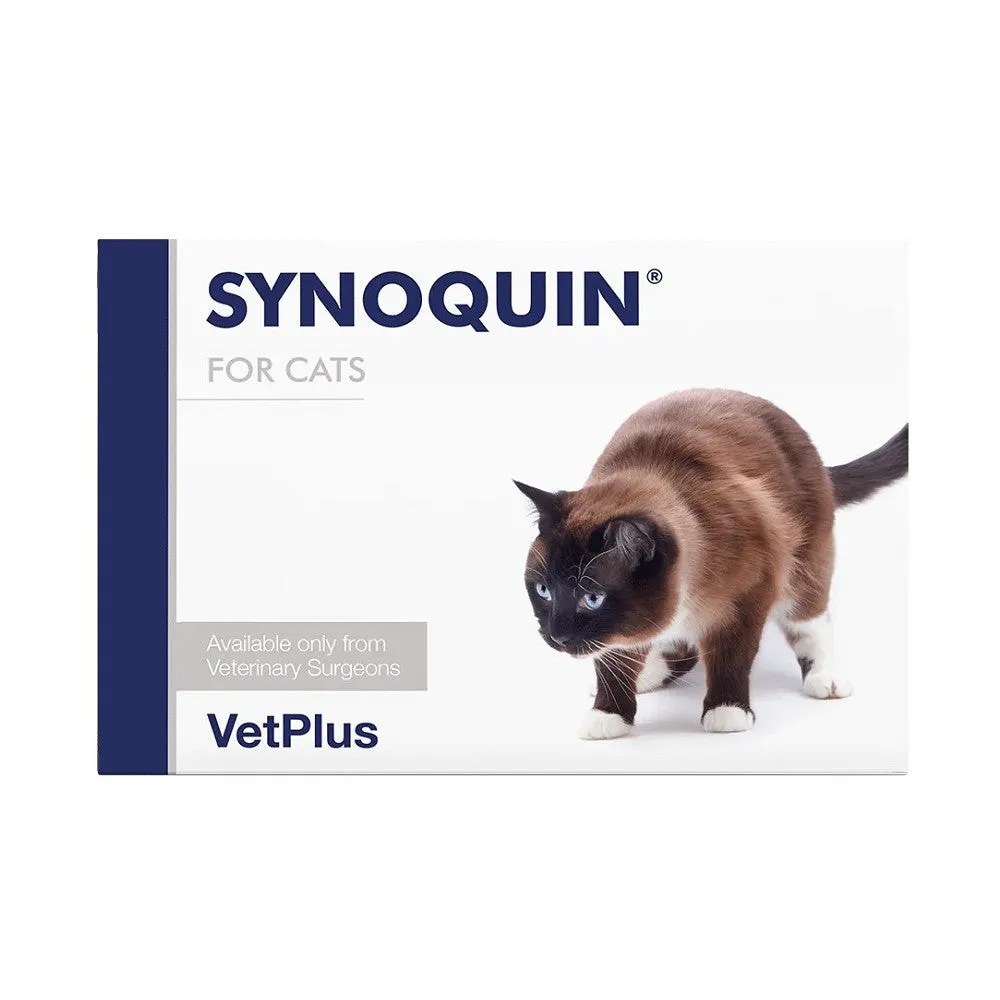 Synoquin for Cats