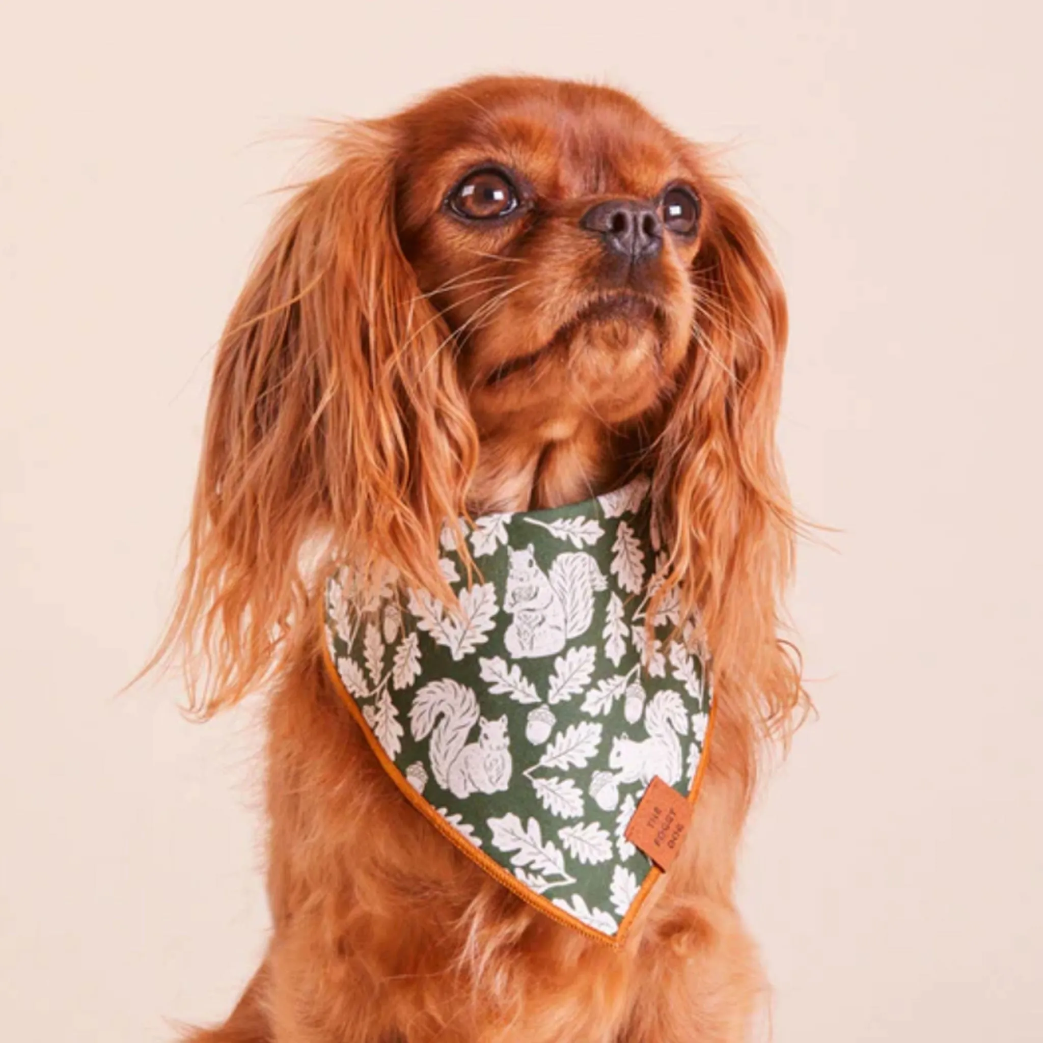 The Foggy Dog Bandana - Squirrel