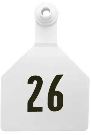 Z2 2-Piece Numbered Maxi Tags, White