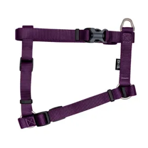 Zeus Nylon Dog Harness - Royal Purple - Large - 2 cm x 45-70 cm (3-4in x 18in-27in)